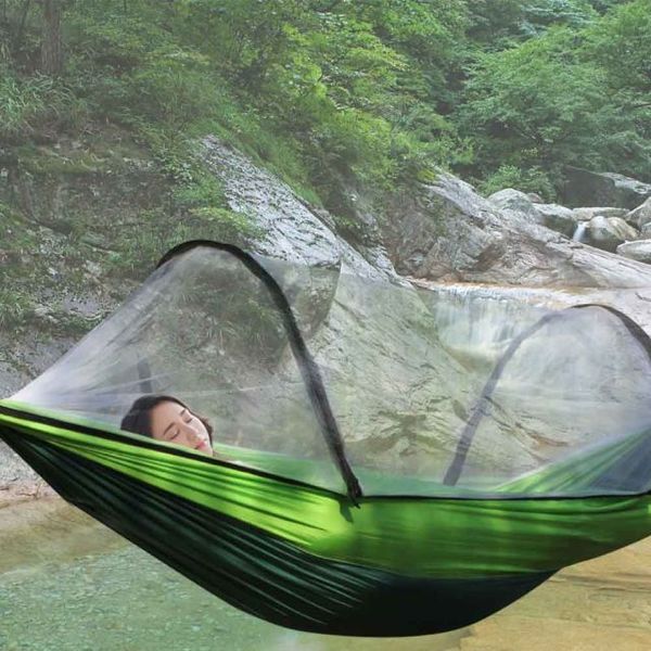 확대된 대표 image1