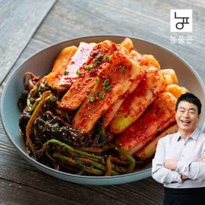 늘품은 총각김치 2kg (김하진이 추천한 김치)[34280354]