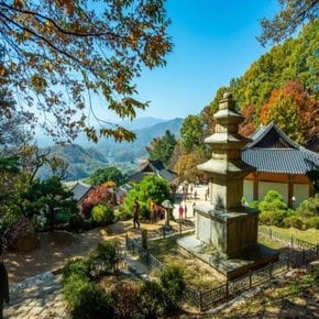 [최소출발인원2명][KTX-관광택시]힐링 영주! 소백산국립공원+부석사+무섬마을