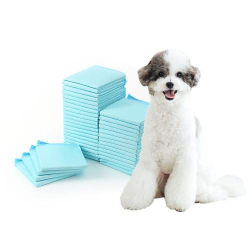 이미지1