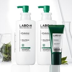 [AP][라보에이치 3종 세트] 탈모증상완화 샴푸 400ml 2입+두피 딥클렌저 120ml