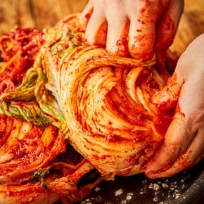 전라도 불김치 실비 포기김치 1kg~3kg