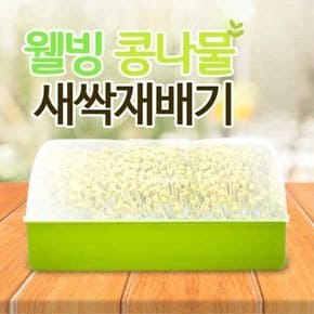 베란다텃밭 웰빙 콩나물 새싹재배기 수경재배기 싹틔우기 채소 배란다텃밭