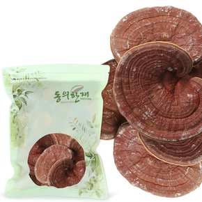 국산 원형 영지버섯차 500g