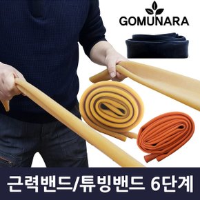 근력밴드 폭5cm 유도 튜브 홈트레이닝 헬스 운동 기구