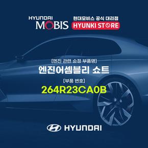 엔진어셈블리 쇼트 (264R23CA0B)