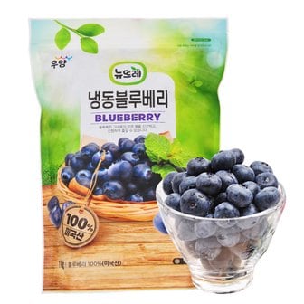 푸르젠 [뉴뜨레]냉동 블루베리홀 1kg