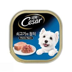 시저 주식캔 100g 1개 쇠고기와 참치