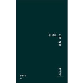 쏠 테면 쏘아 봐라 (삶창시선 시리즈 77)