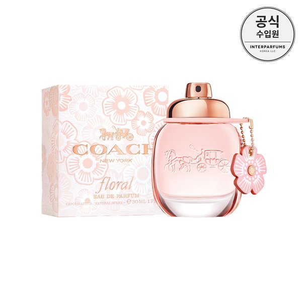 확대된 대표 대표이미지