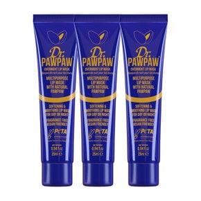 Dr PAWPAW 닥터포포 오버나이트 립 마스크 립밤 10ml 3개