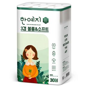 (etv)한예지 볼륨앤소프트 천연펄프 화장지 3겹 30롤 2팩[33901738]