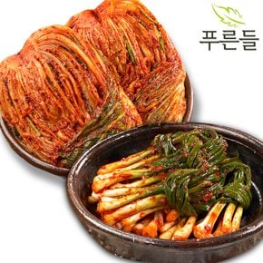 전라남도 함평김치 / 포기김치 1kg + 파김치 1kg