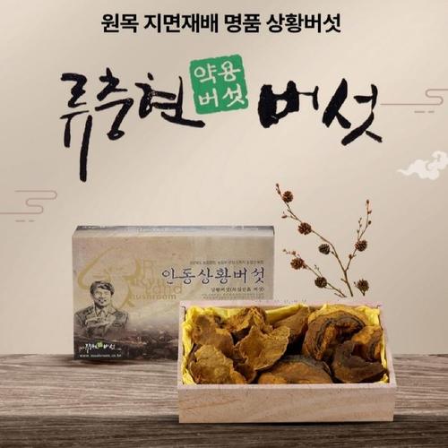 상황버섯 약용버섯 중품 300g(1)