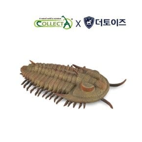 [컬렉타, COLLECTA] 컬렉타 레들리키아 렉스 삼엽충 모형 피규어 장난감 , 해양동물 피규어