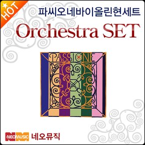 파씨오네 바이올린현세트 Passione Violin String SET