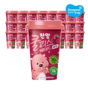 소와나무 쿨피스 에이드 자두 300ml X24개