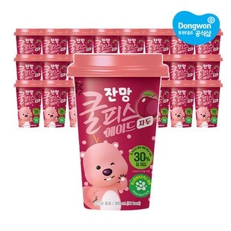 동원 소와나무 쿨피스 에이드 자두 300ml X24개