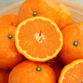 [오초록] 제주 카라향(귤로향) 2kg(10~12과내,선물용)
