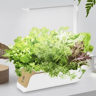  수경재배기 스마트팜 LED 가정용 상추 야채 재배 화분 상추 키우기 식물재배기