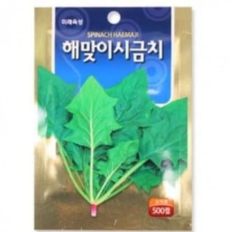  모종 텃밭 가꾸기 시금치 씨앗 500립 상추씨앗 꽃씨앗_WE462E9