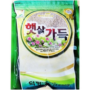 업소용 식자재 햇살가득 현미 덕령 1kg 실온보관 (W5FEF30)