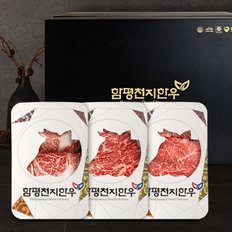 [1/3 순차출고]함평천지한우 1++(7) 혼합선물세트 9호 등심/안심/채끝/불고기 1.2kg