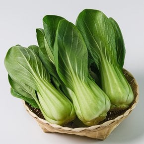 아삭아삭 국내산 청경채 1kg