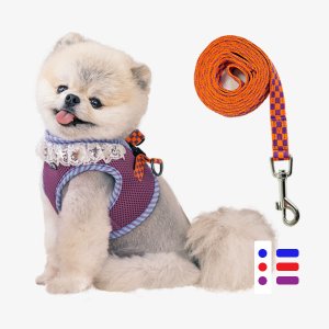 REAL PET 레이스 펜던트 하네스 + 리드 set (3color) 강아지 가슴줄 애견 산책 용품