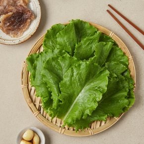 아삭이상추 (150g)