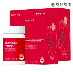 루바브 마뿌리 추출분말 정 500mg x 60정 x 3개