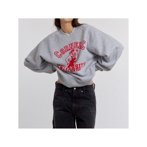 [와일드 동키] FW25 공용 코넬 맨투맨 FR CORNELL HEATHER GREY