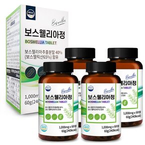 웰리즈 프리미엄 보스웰리아정 1,000mgx60정 4개 8개월분 부모님 건강식품 선물