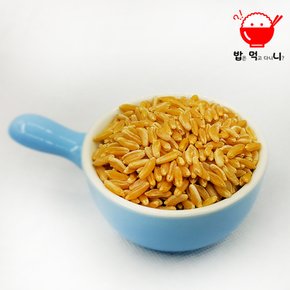 2024년산 국내산 카무트 호라산밀 500g