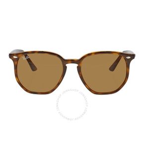 4662191 Ray-Ban Brown Classic B-15 Hexagonal Uni Sunglasses