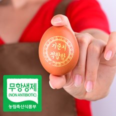 무항생제 초란 신선계란 당일생산출고 60구 청라상회