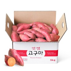 [5kg] 맛젤 24년 호풍미 호박고구마 (특상size) 실속형 /개별 80-300g