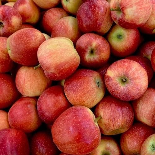 국내산 가정용 홍로 빨간 사과 중과 2kg 10-12과(1)