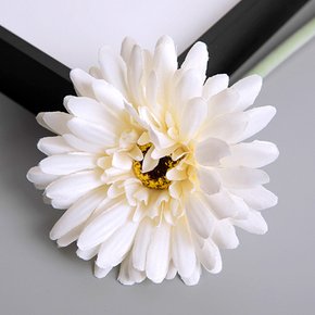 [월데코] 피어나 거베라 조화(화이트)