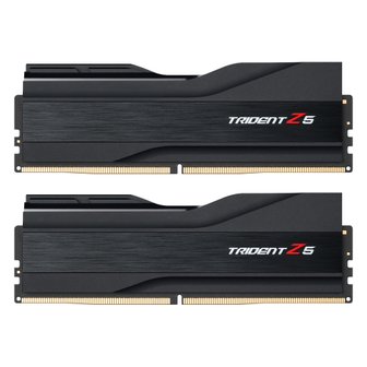 지스킬 [서린공식] G.SKILL DDR5 6000 CL36 TRIDENT Z5 J 블랙 패키지 32GB(16Gx2)