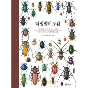 딱정벌레 도감 : 우리나라에 사는 딱정벌레 808종