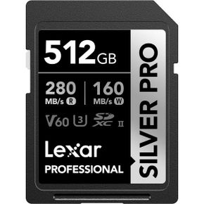 영국 렉사 sd카드 Lexar Professional 512GB Silver PRO SDXC UHSII Memory Card C10 U3 V60 Ful