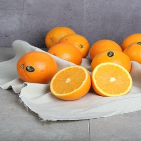 [블랙라벨! 고당도! 대과!]Mpark 미국산 캘리포니아 실속 오렌지 10kg
