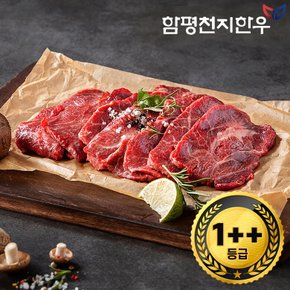 [함평축협] 함평천지한우 1++(7) 부채살 300g