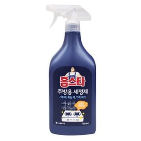 홈스타 실용적인 주방용 세정제 750ml 홈스타 세정제 세척제 주방청소 청소 가스레인지청소 기름때제거-TJ