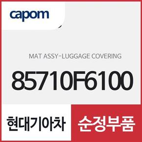 매트-러기지 커버링 (85710F6100) K7