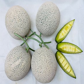 국내산 고당도 머스크 멜론 메론 1통 1.4kg 내외