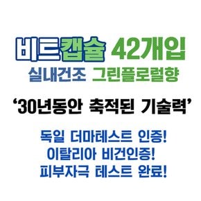 비트 실내건조 캡슐 세제 42개입 이불 운동복 속옷 수건 땀냄새 제거  미세먼지 빨래 세탁세제