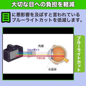MotoMoto FUJIFILM INSTAX mini 필름 Evo용 블루 라이트 컷 필름 액정 보호 필름 반사 저감