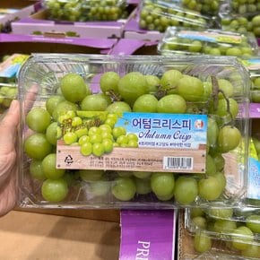 트레이더스 어텀크리스피 1.36kg